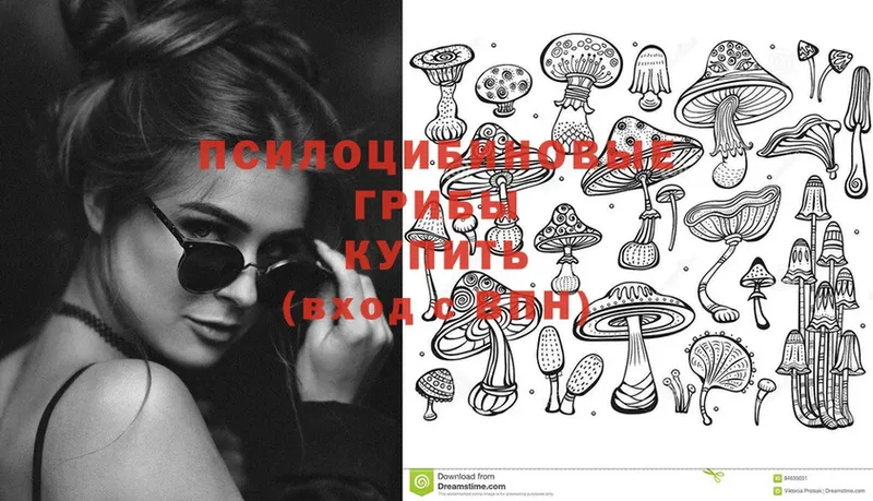 Галлюциногенные грибы Psilocybe  Неман 